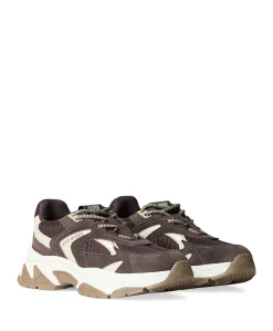 Ample dames sneakers bruin