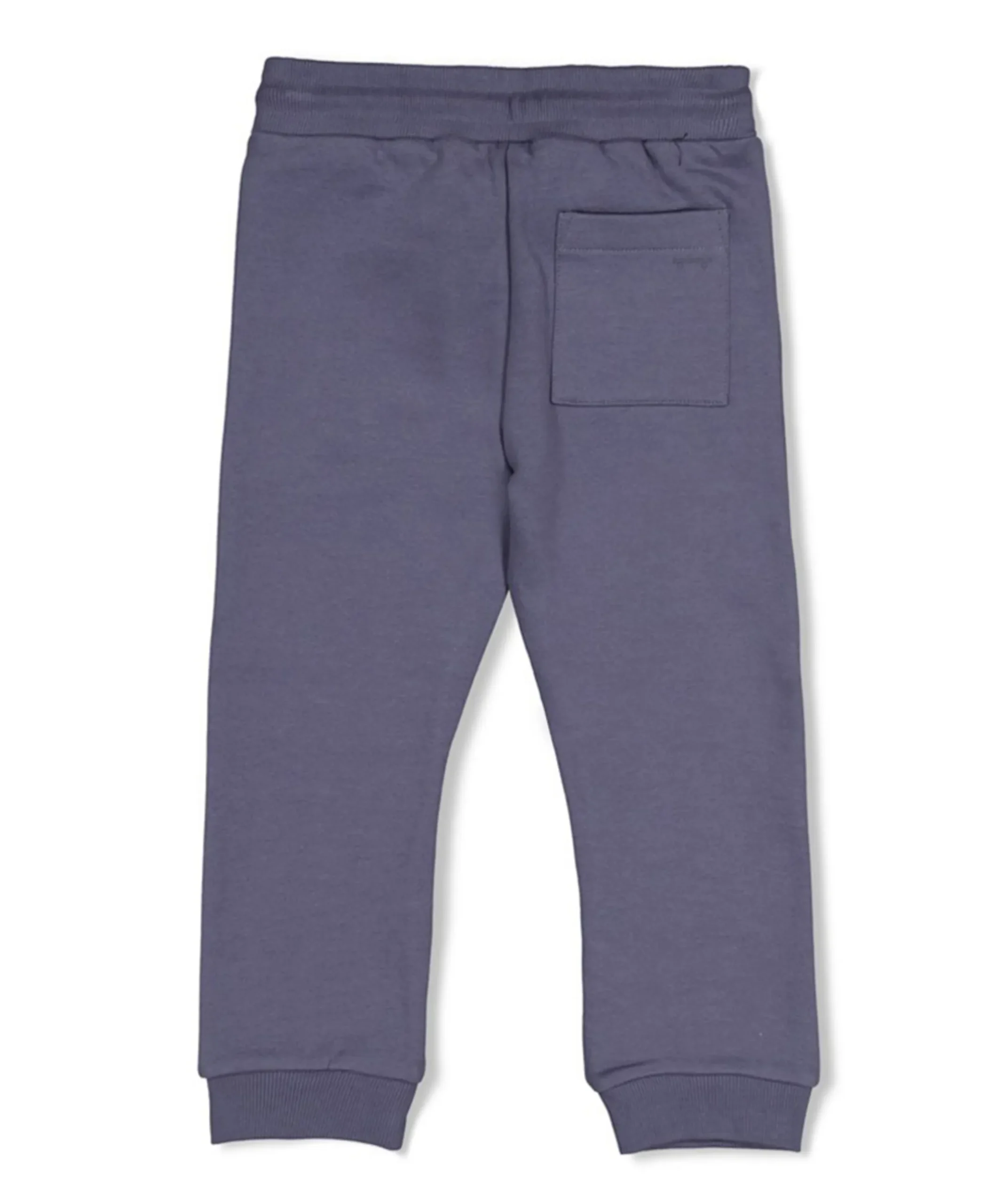 Broek - Rock the Earth jongens broek blauw