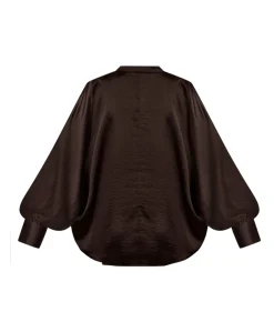 Dames blouse bruin
