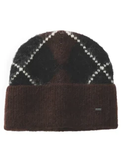 Dames hoofdaccessoire bruin