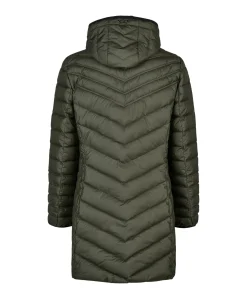 Dames jas groen