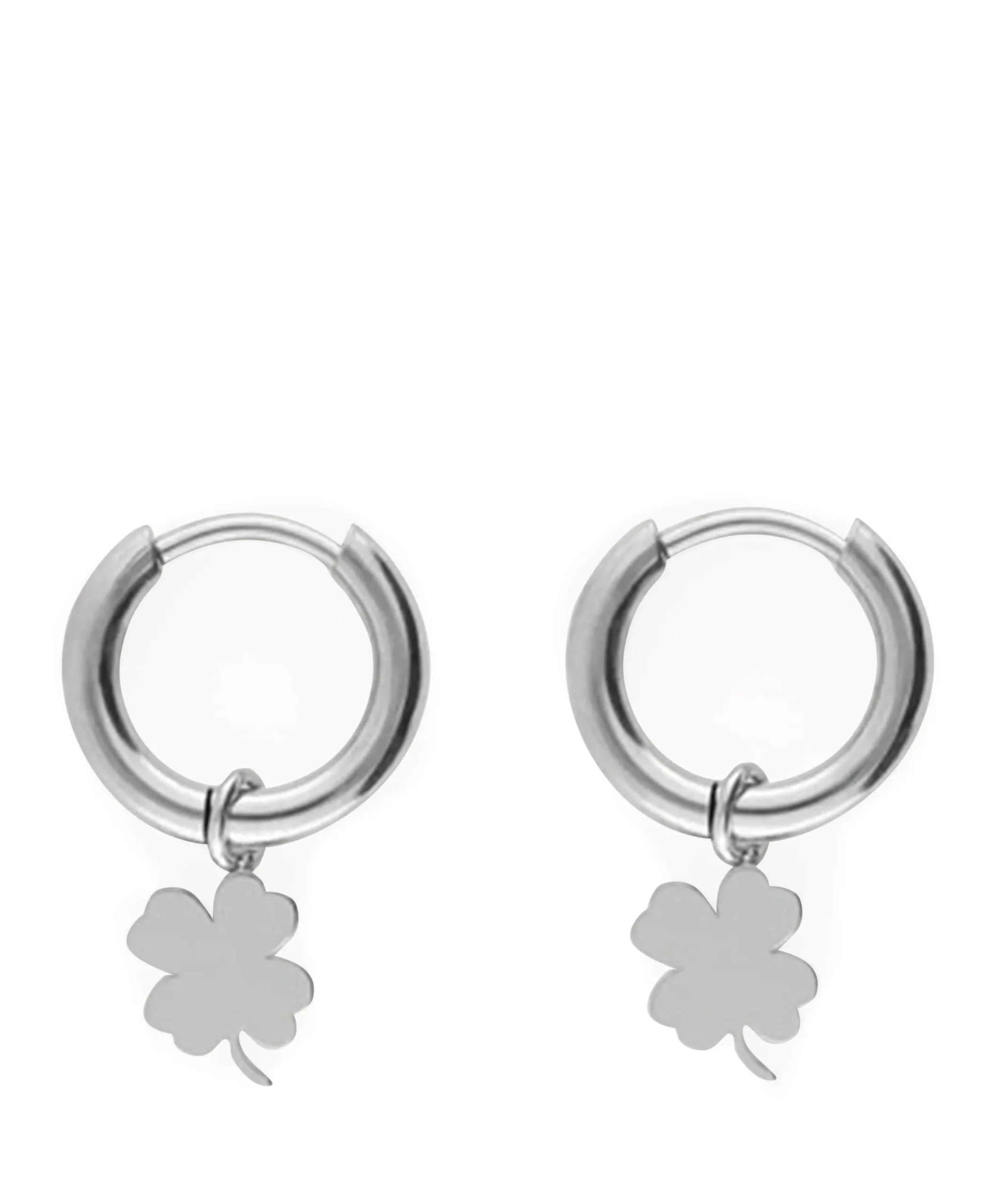 Dames oorbellen zilver