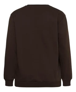Dames sweater bruin