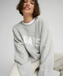 Dames sweater grijs
