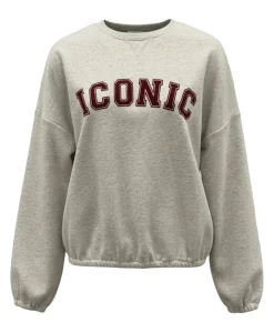 Dames sweater grijs