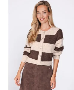 Dames vest bruin