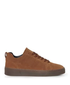 heren sneakers bruin