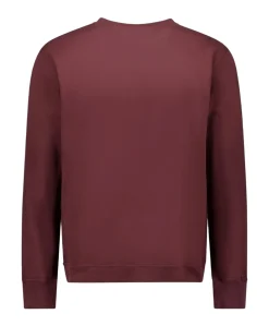 Heren sweater bruin
