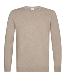 Heren trui beige