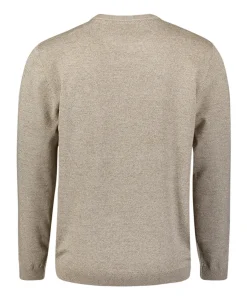 Heren trui beige