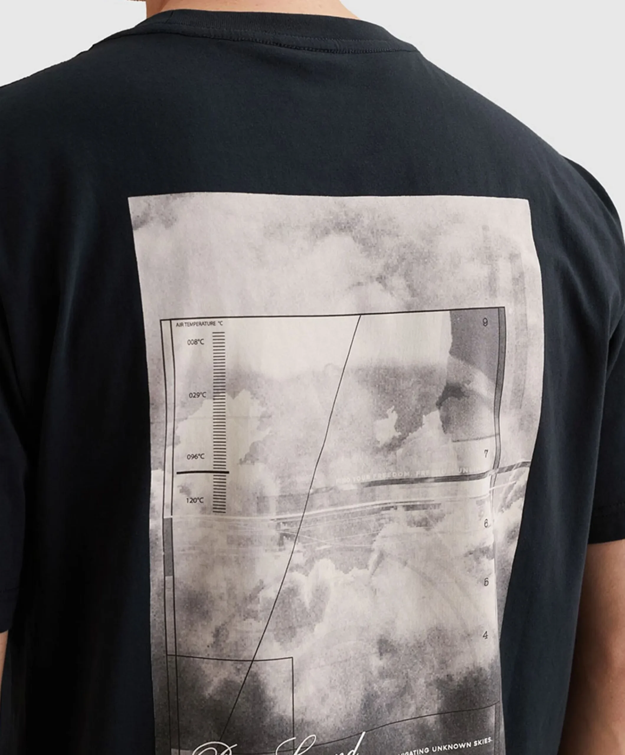 Heren T-shirt blauw