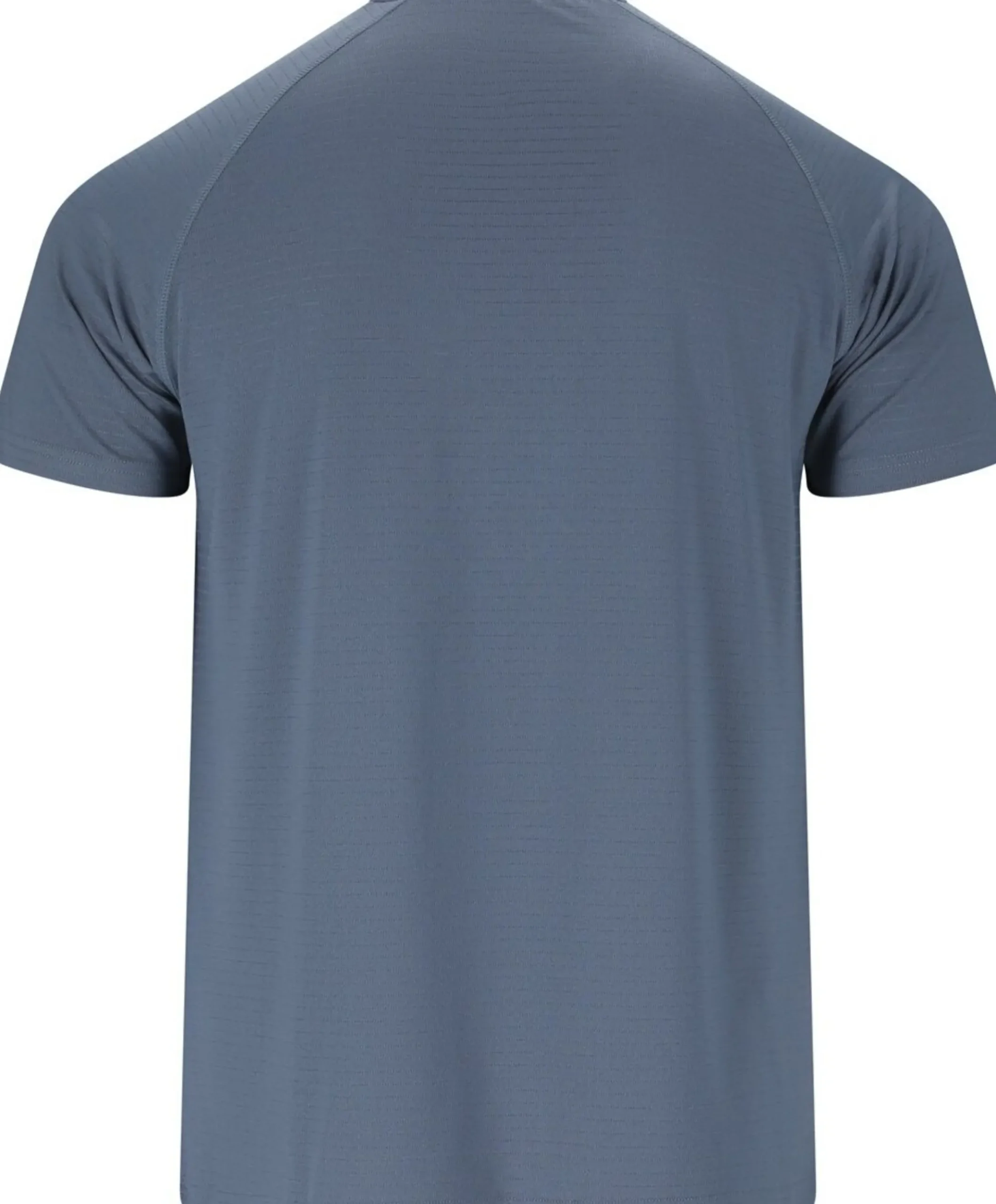 Heren t-shirt blauw
