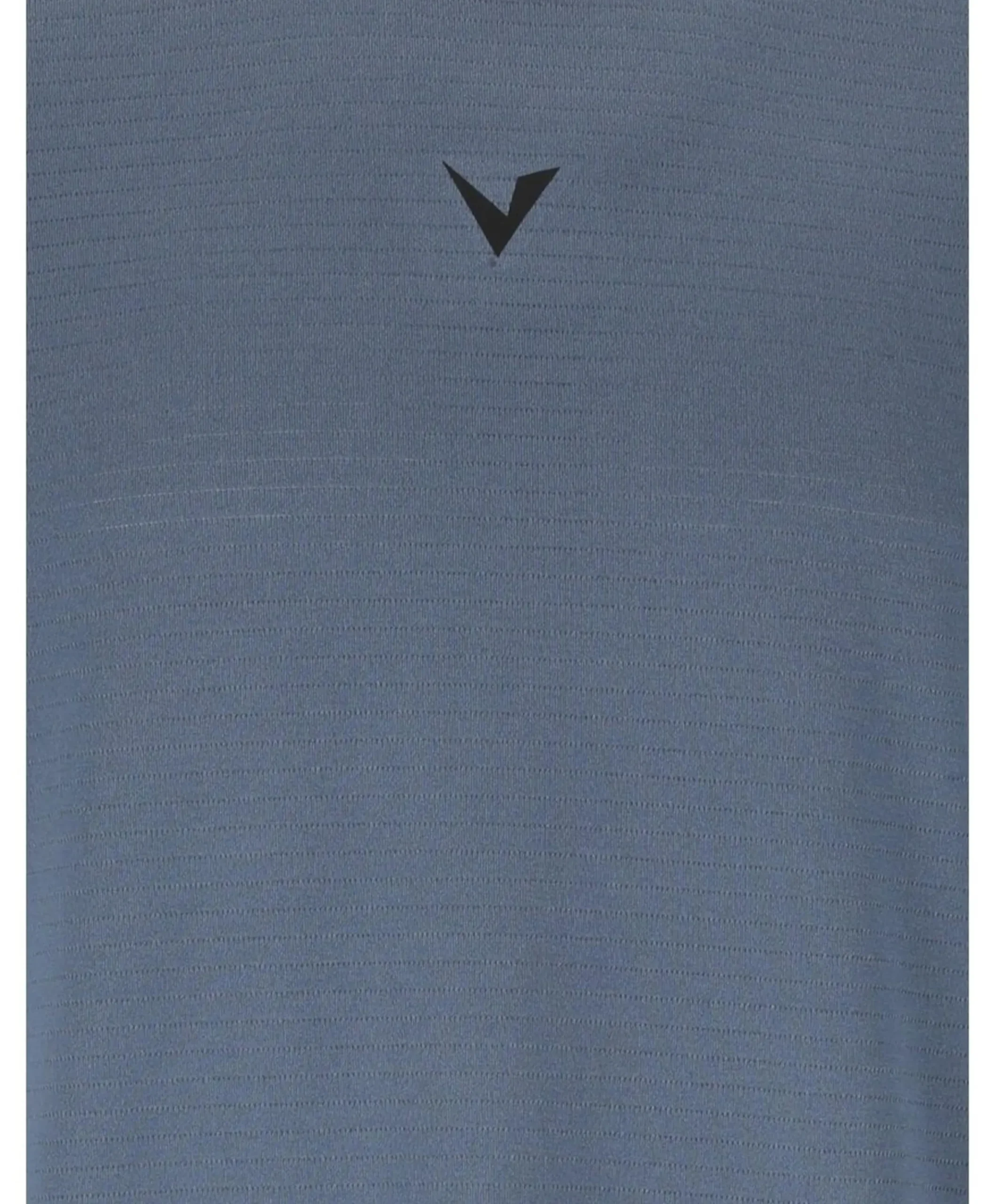 Heren t-shirt blauw