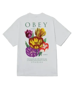 Heren T-shirt wit