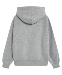 Jongens hoodie grijs