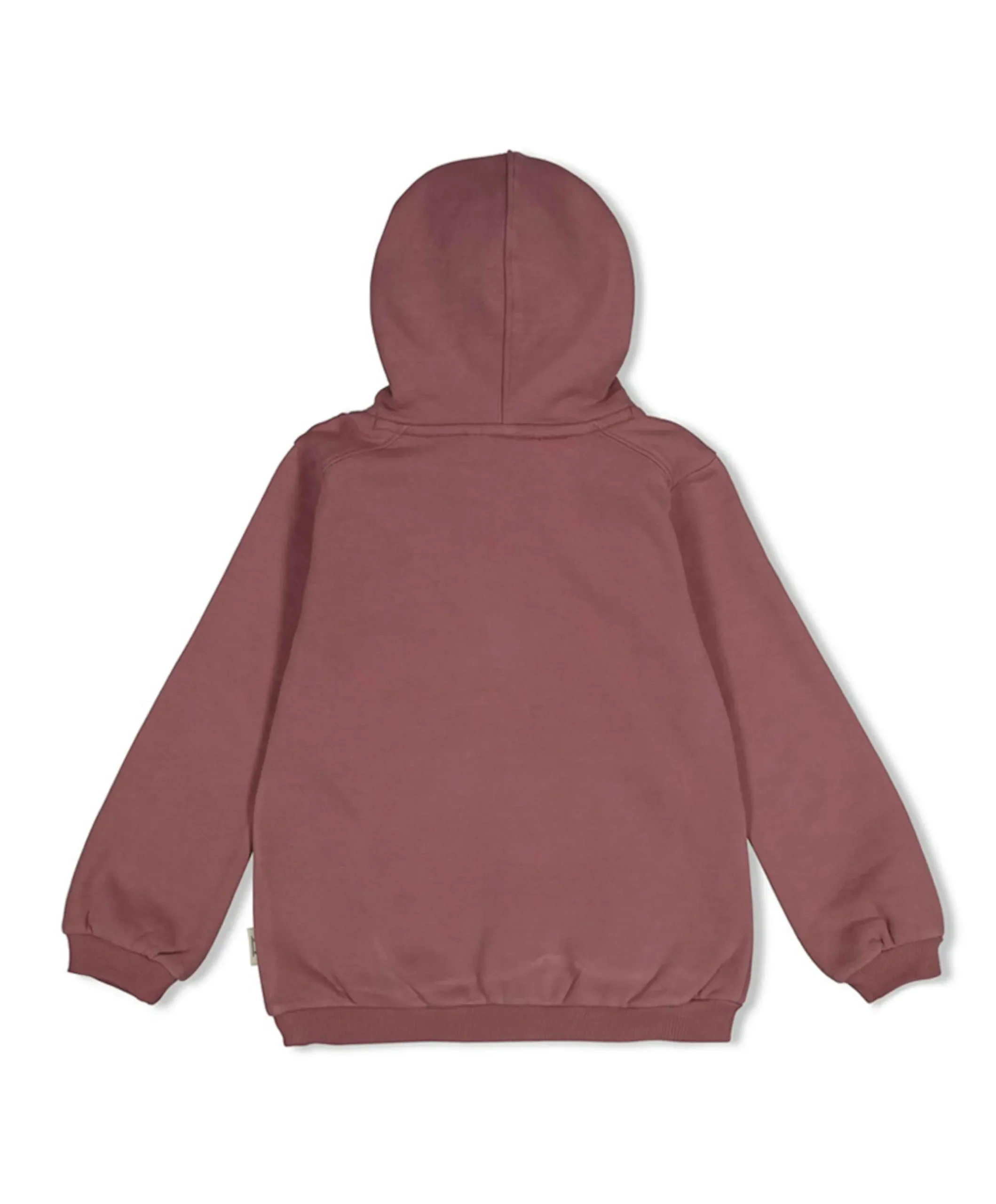Jongens hoodie paars