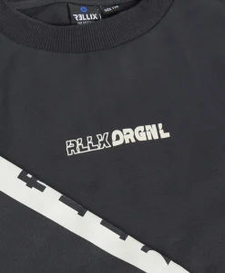 Jongens longsleeve grijs