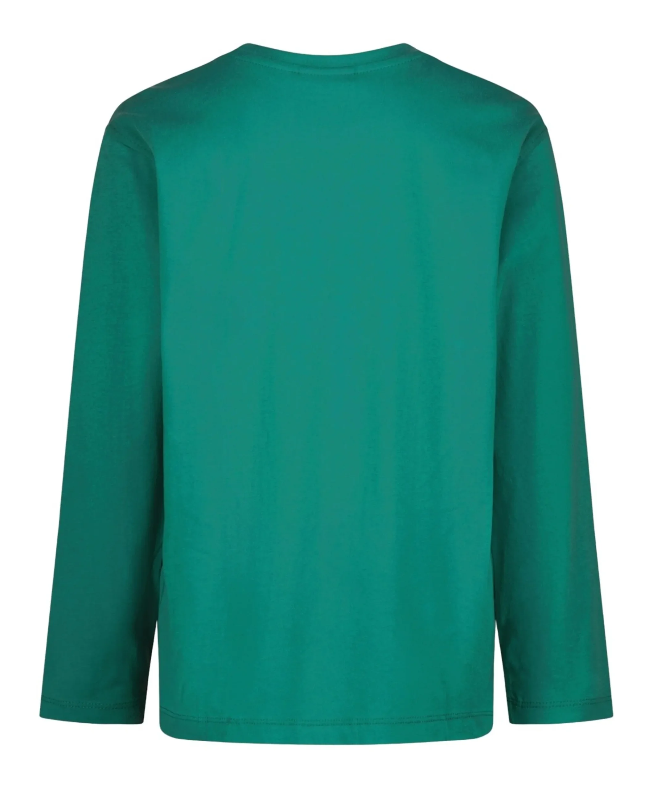 Jongens longsleeve groen