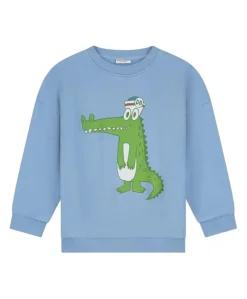 Jongens sweater blauw