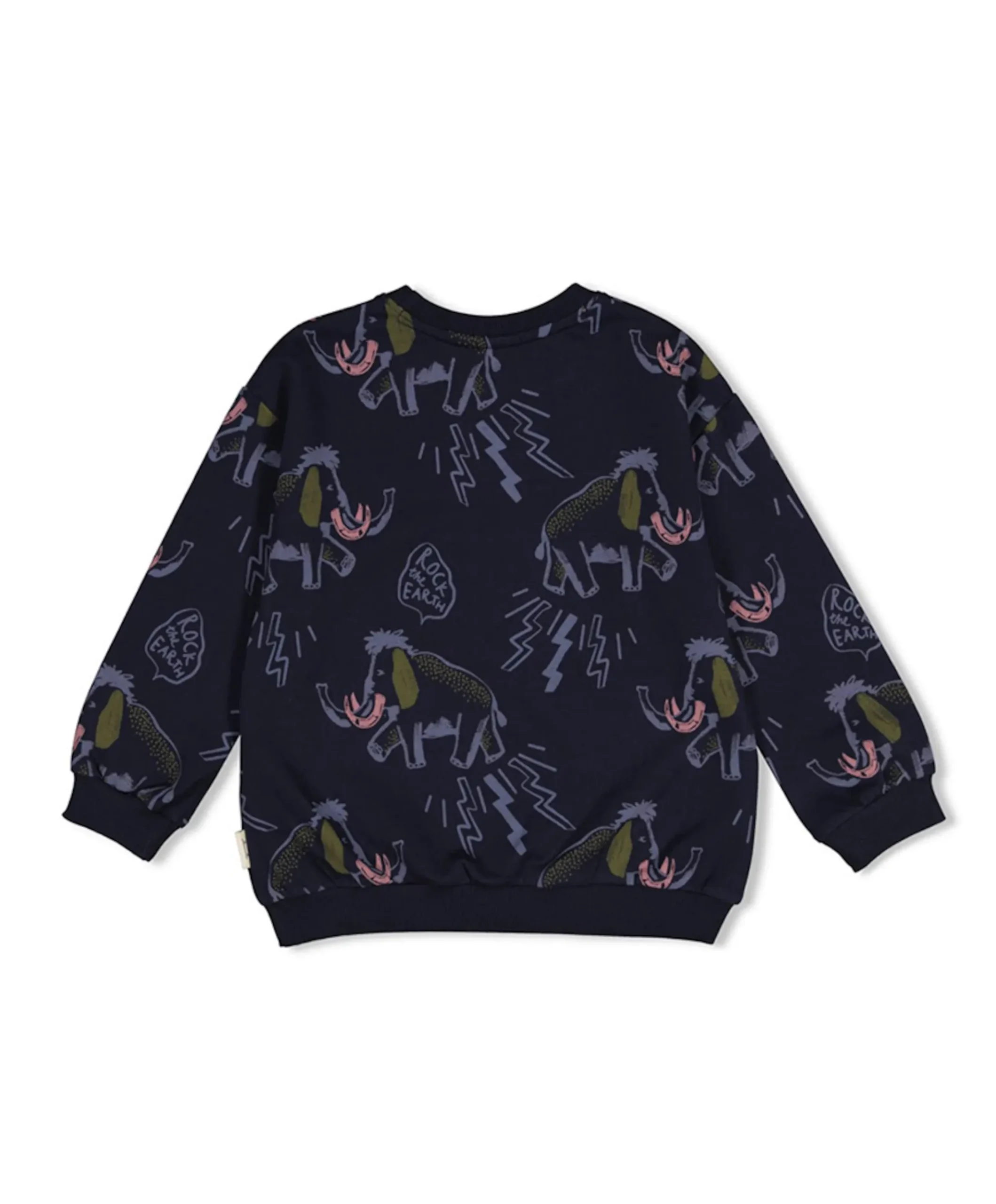 Jongens sweater blauw