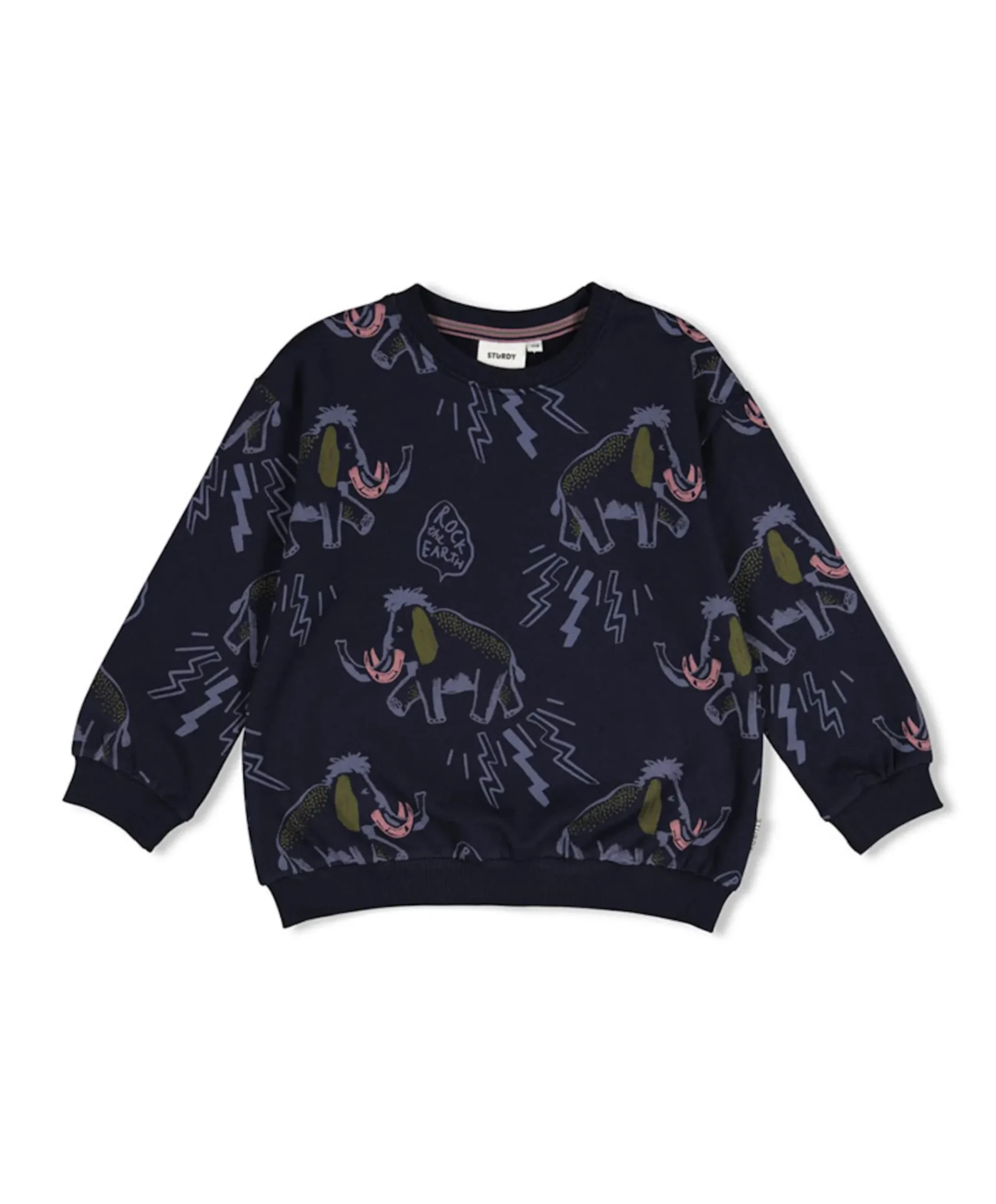 Jongens sweater blauw