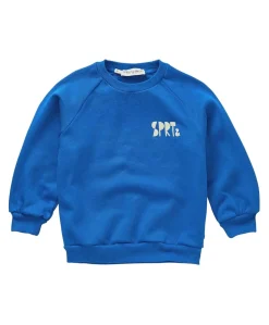 Jongens sweater blauw