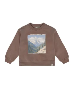 Jongens sweater bruin