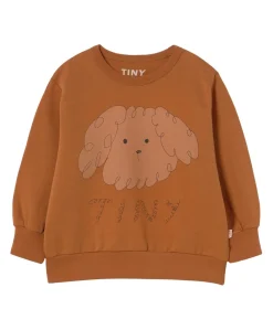Jongens sweater bruin