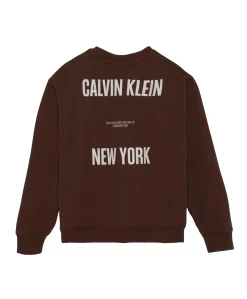 Jongens sweater bruin