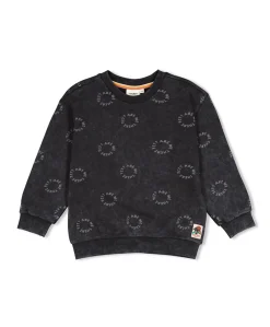 Jongens sweater grijs
