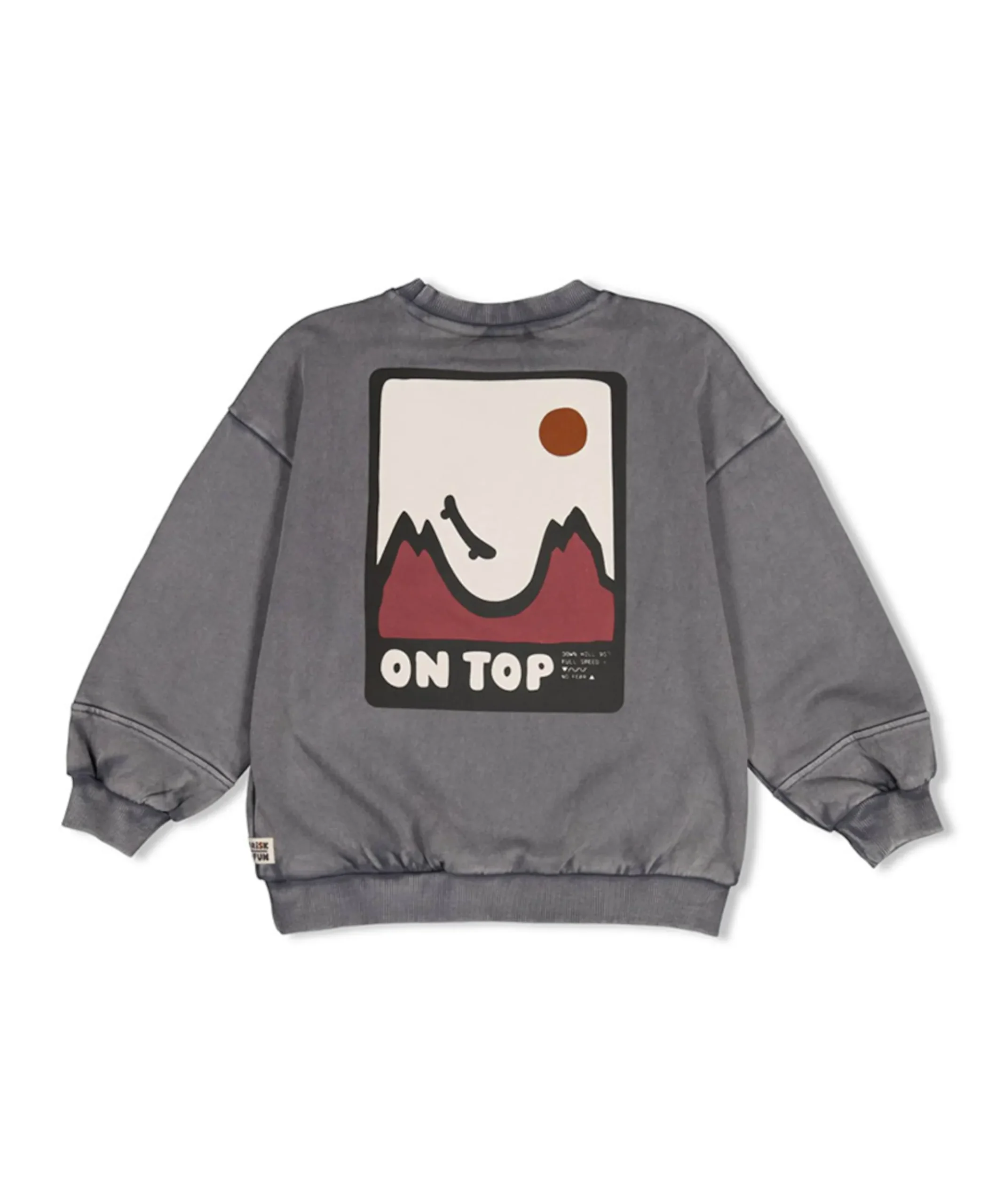 Jongens sweater grijs