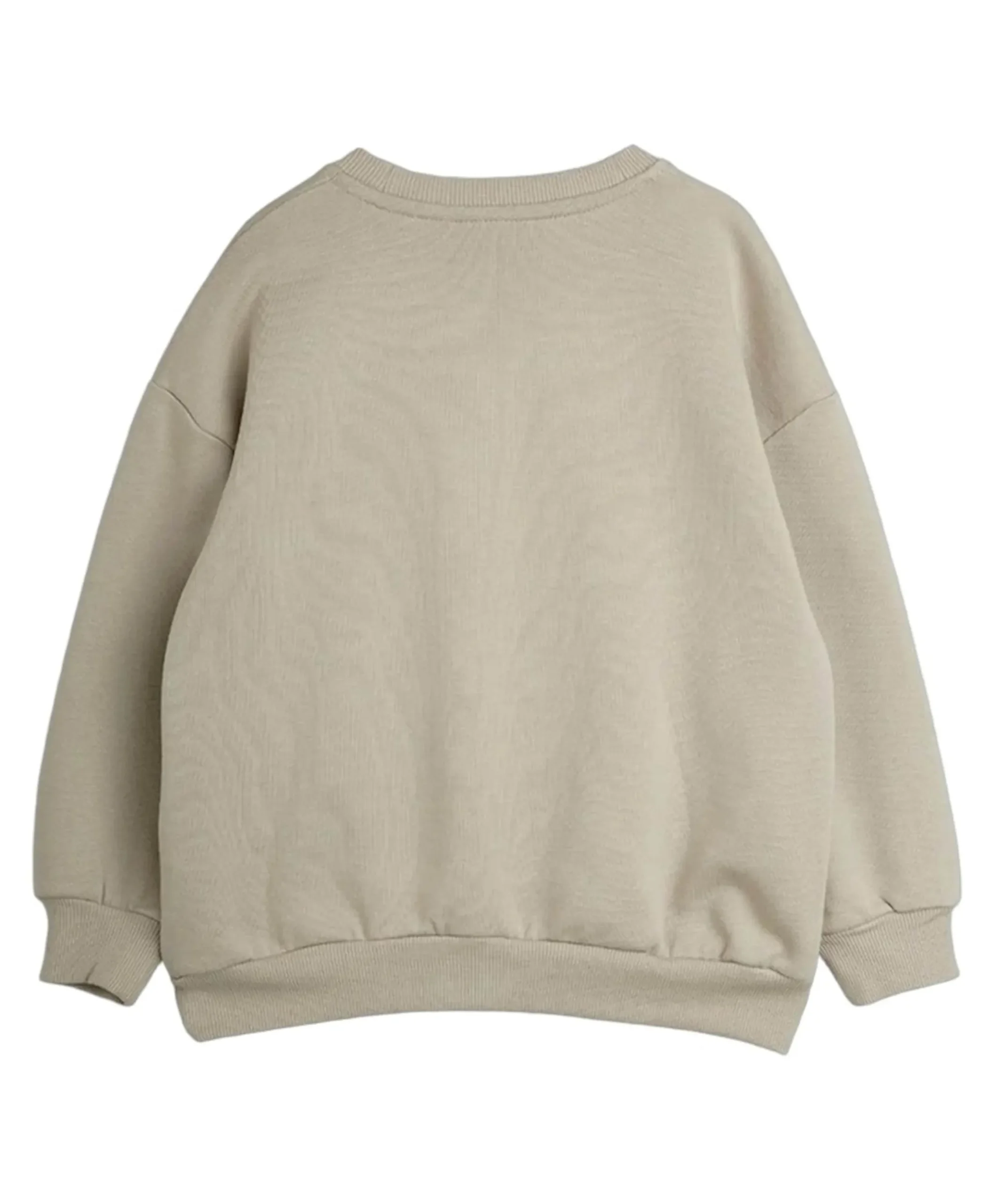Jongens sweater grijs