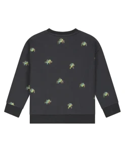 Jongens sweater grijs