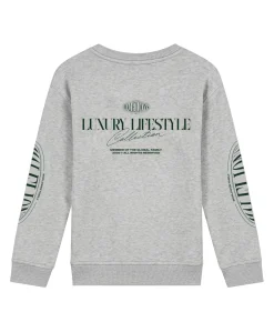 Jongens sweater grijs