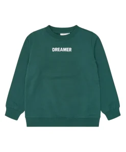 Jongens sweater groen