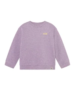 Jongens sweater paars
