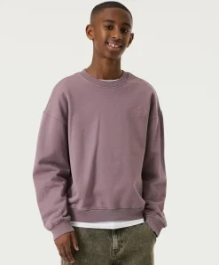 Jongens sweater paars