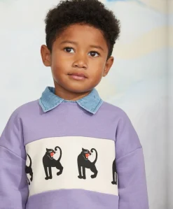 Jongens sweater paars