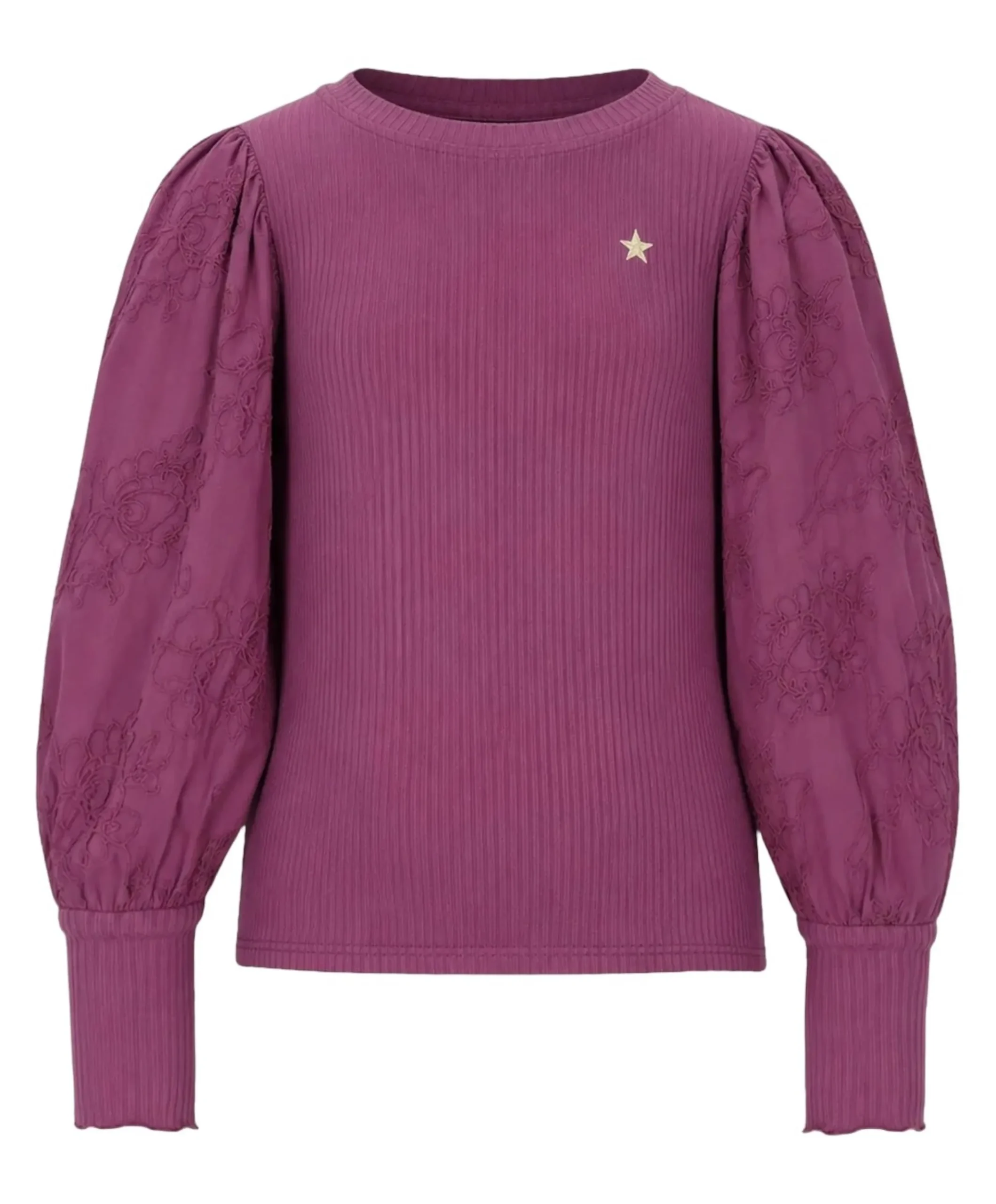 Meisjes longsleeve paars