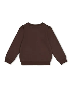 Meisjes sweater bruin