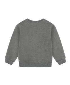 Meisjes sweater grijs