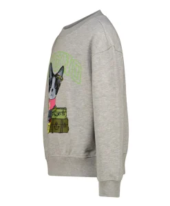 Meisjes sweater grijs