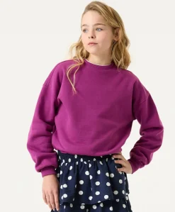 Meisjes sweater roze