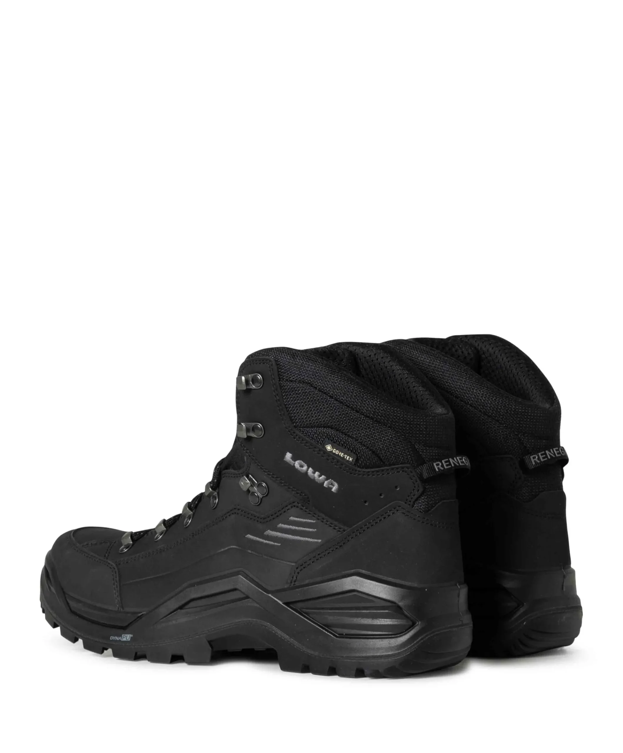 Renegade Evo GTX Mid heren wandelschoenen zwart
